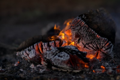 燃烧木材的近景摄影